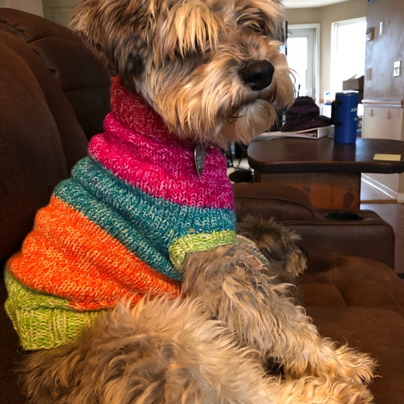 Hand -knit dog sweater - Picture 3 of 3